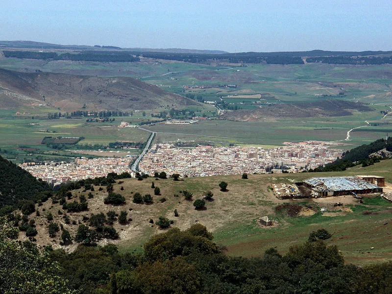 Cèdres & Moyen Atlas depuis Fès