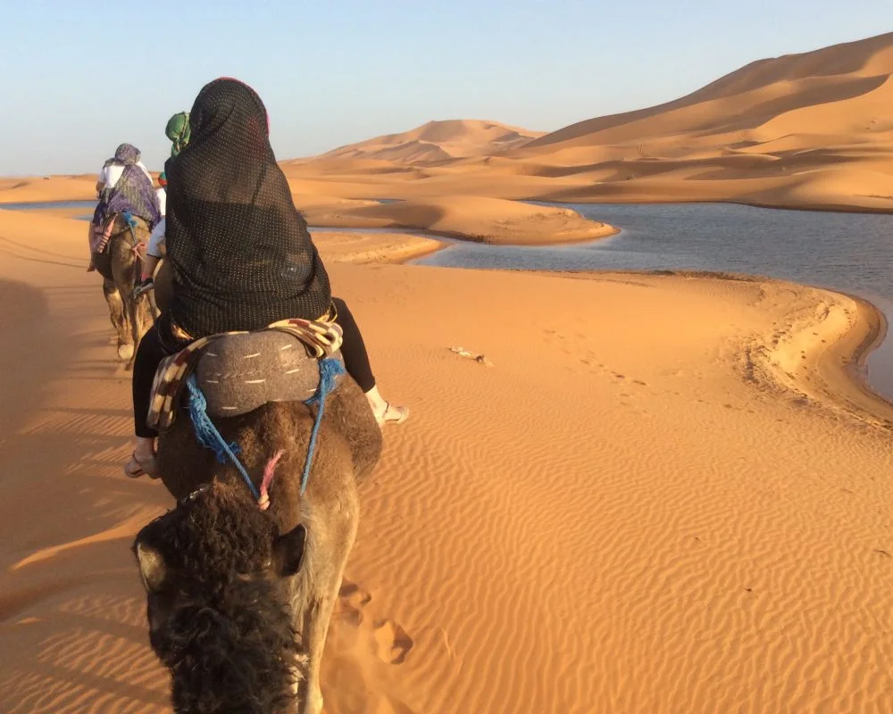 Du Sahara à l’océan · 15 jours