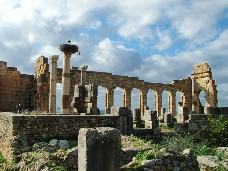 Meknès & Volubilis depuis Fès